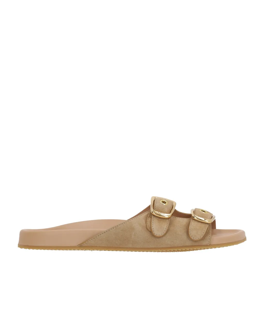 Double-Strap Slides