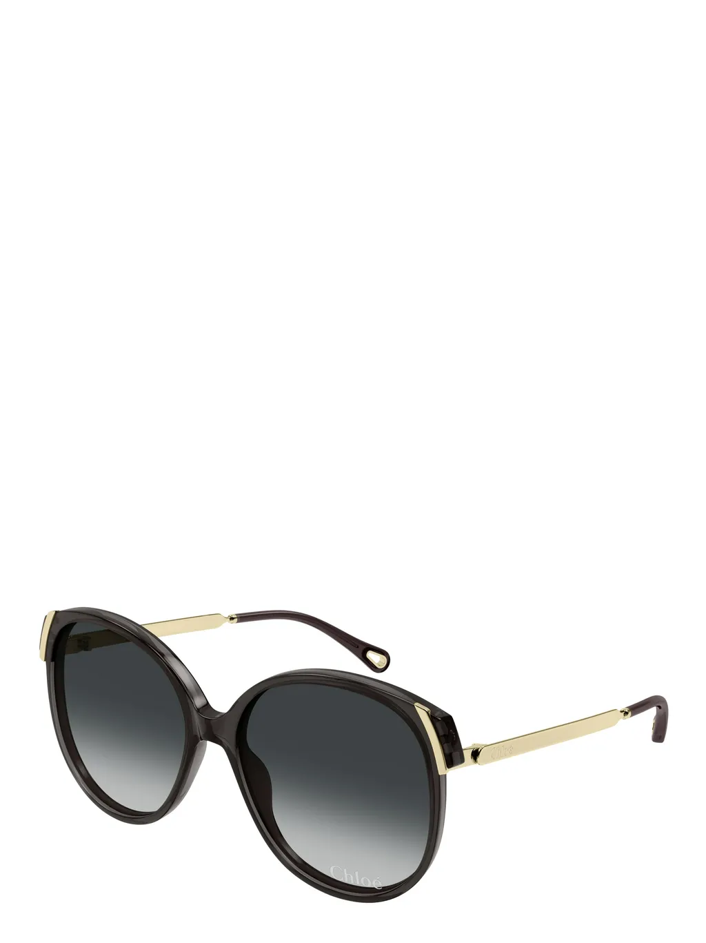 Oval Frame Sunglasses