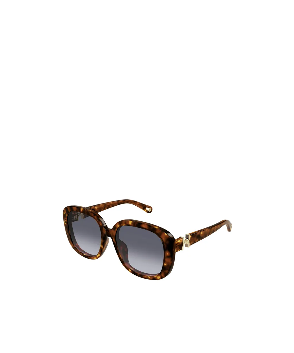 Oval-Frame Sunglasses