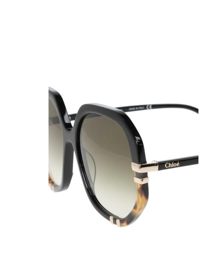 Oversized Frame Sunglasses