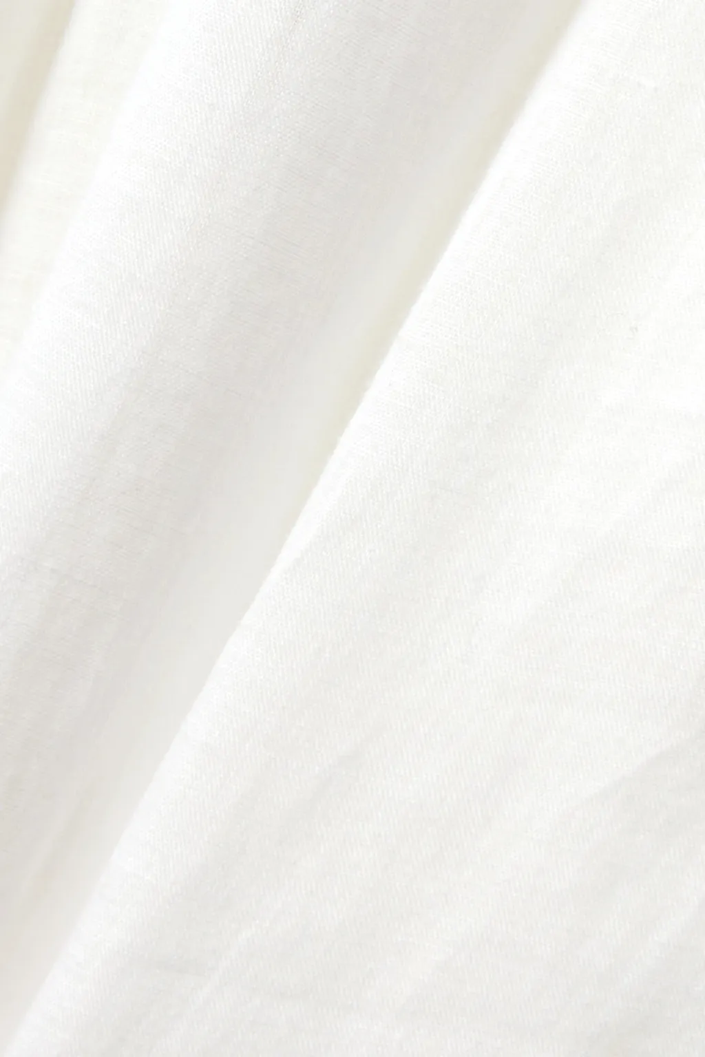 Pleated Wide-Leg Pants