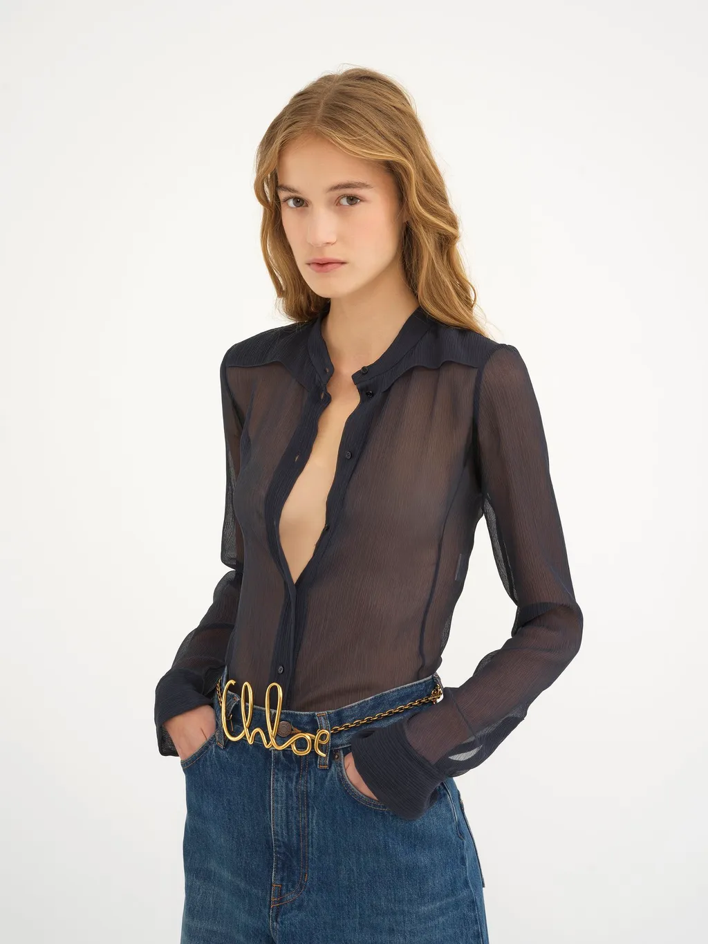 Sheer Button-Up Blouse