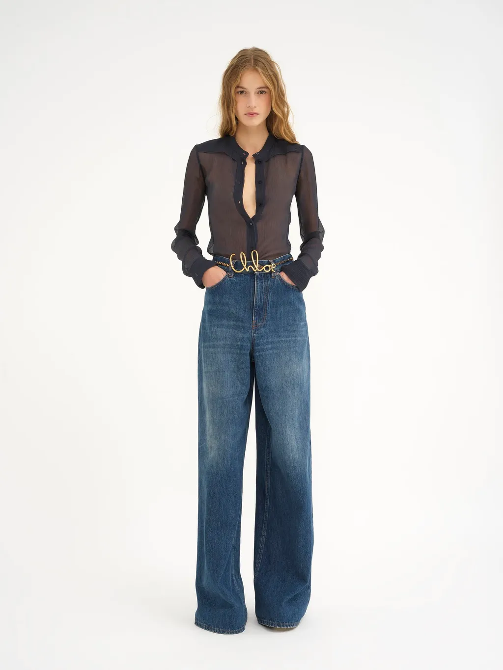Sheer Button-Up Blouse