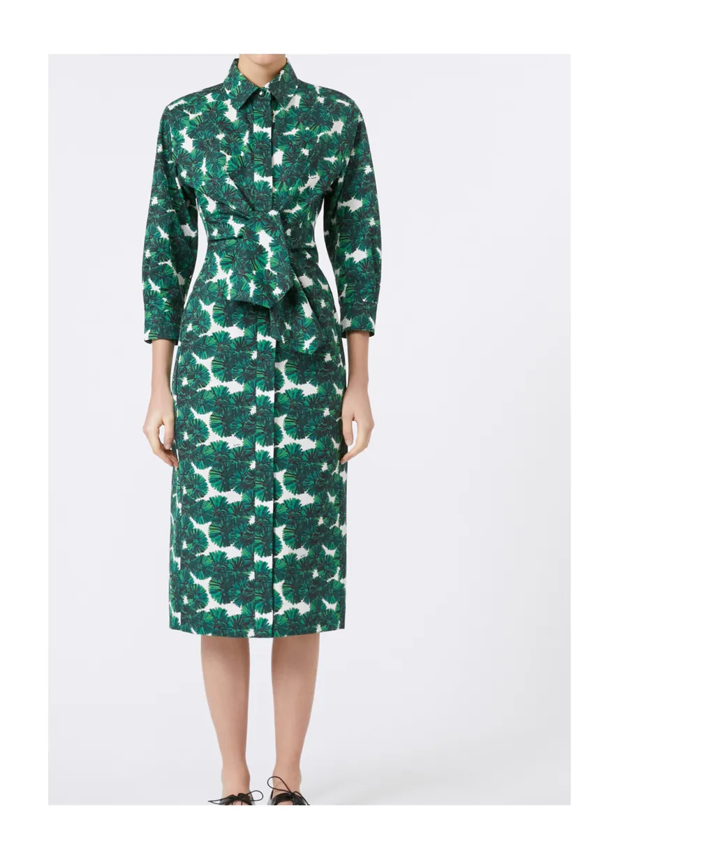 Printed Poplin Shirt Dress