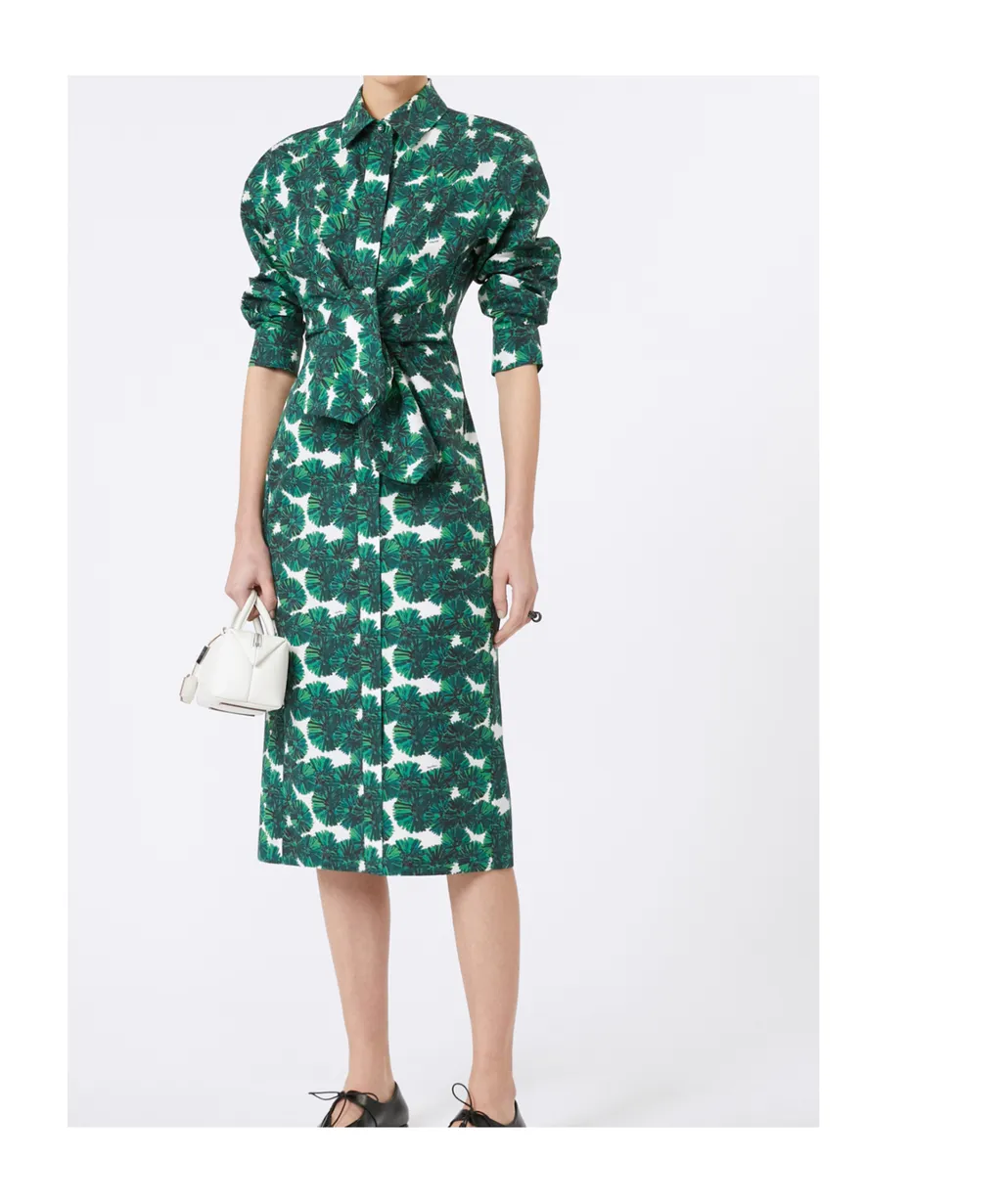Printed Poplin Shirt Dress