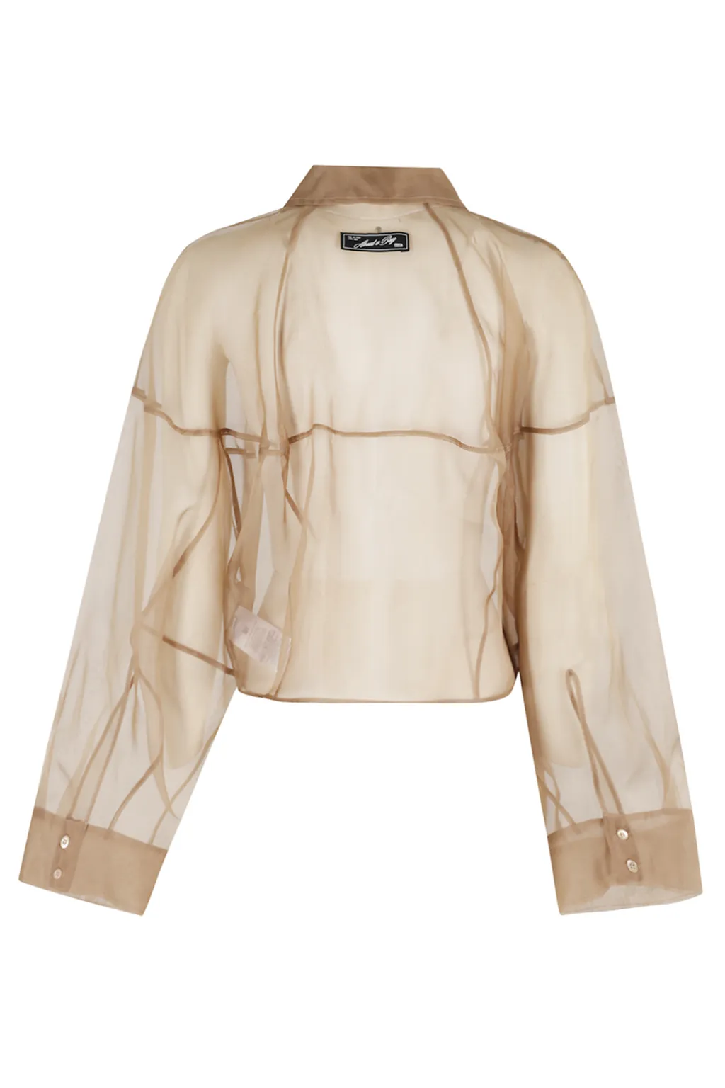Button-Down Shirt