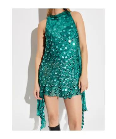 Sequin Embroidery Mini Dress