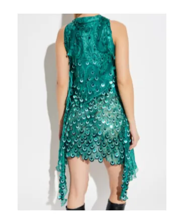 Sequin Embroidery Mini Dress