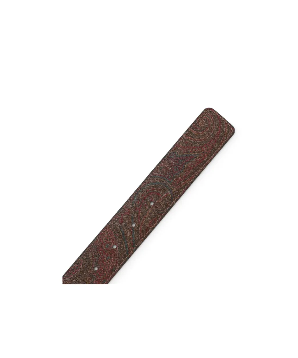 Reversible Belt