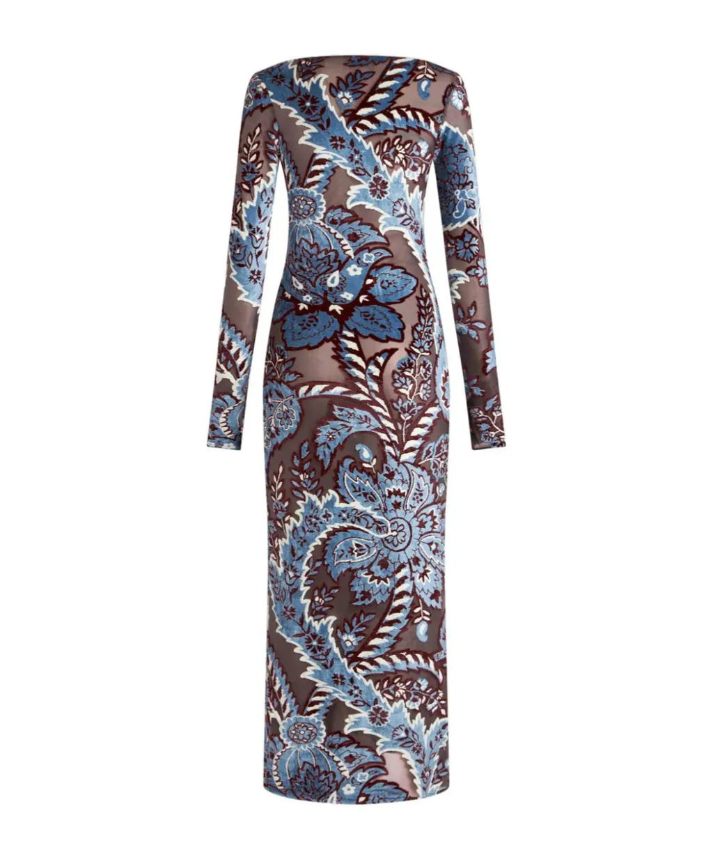 Jacquard Velvet Tulle Dress