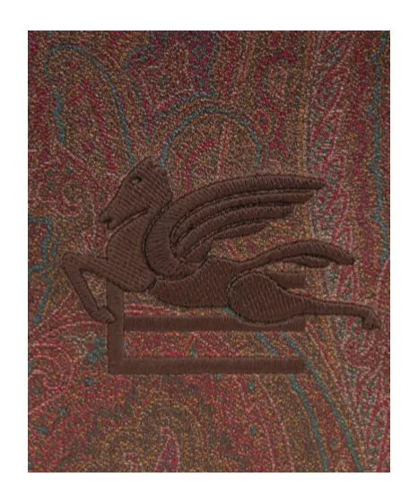 Paisley Printed Logo Embroidered Pouch