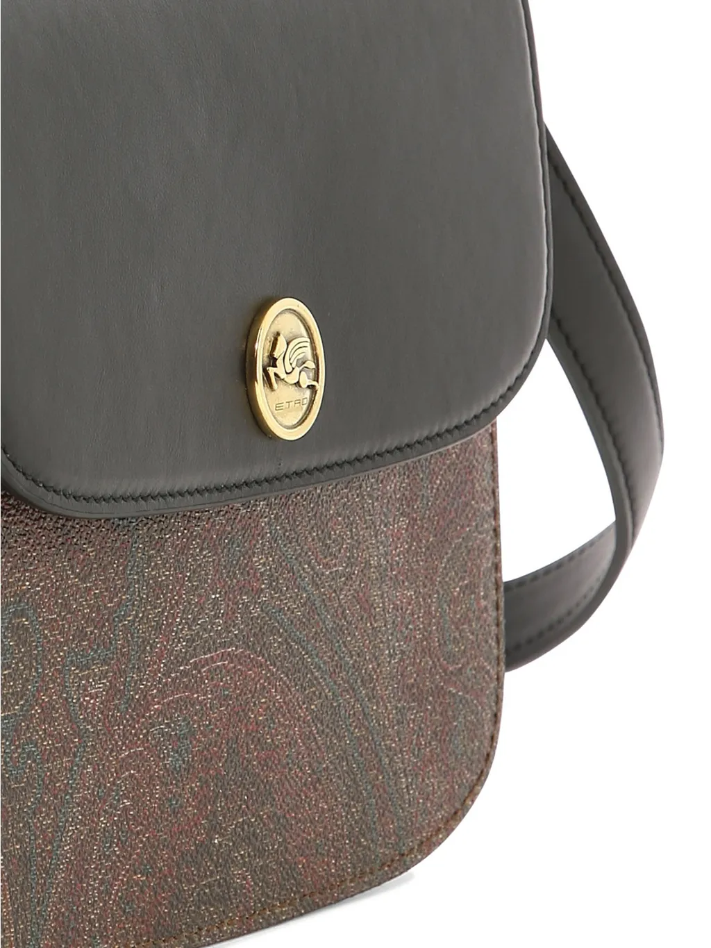 Paisley Printed Logo Plaque Crossbody Bag