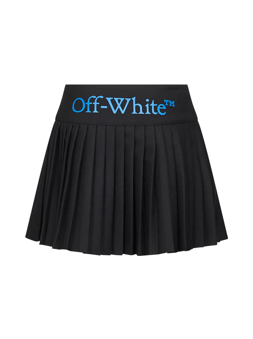 Pleated Skirt