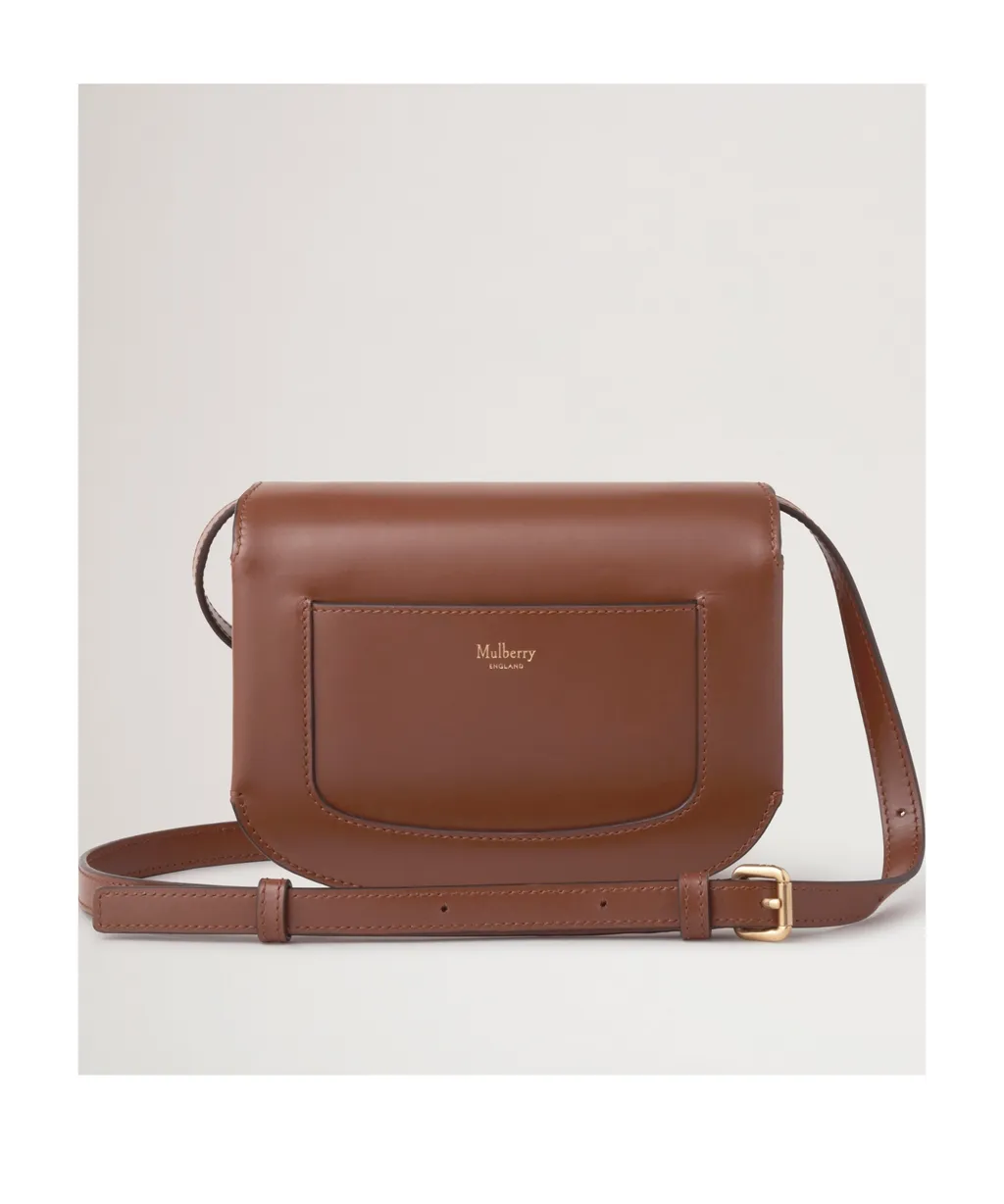 Small Pimlico Satchel Bag