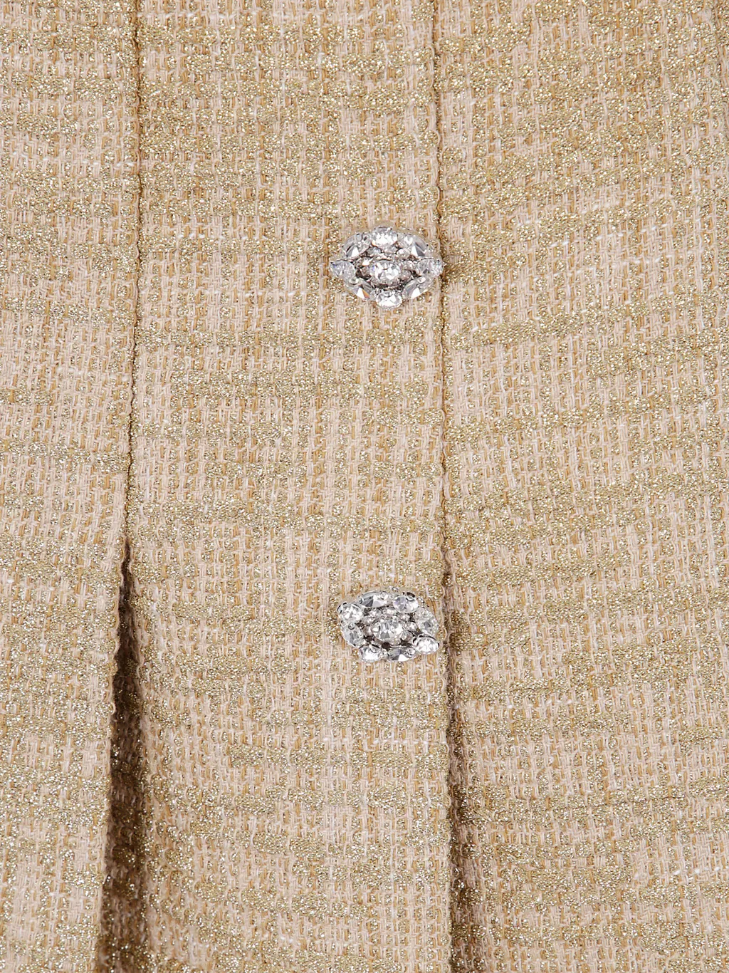Embellished Pleated Skirt