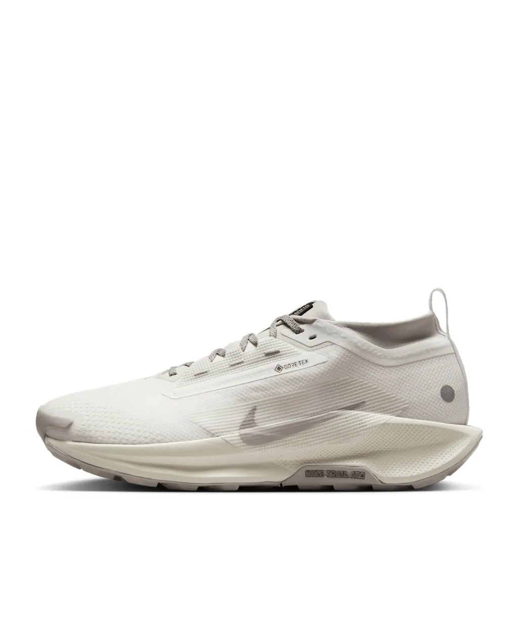 Pegasus Trail 5 Gore-Tex Sneakers