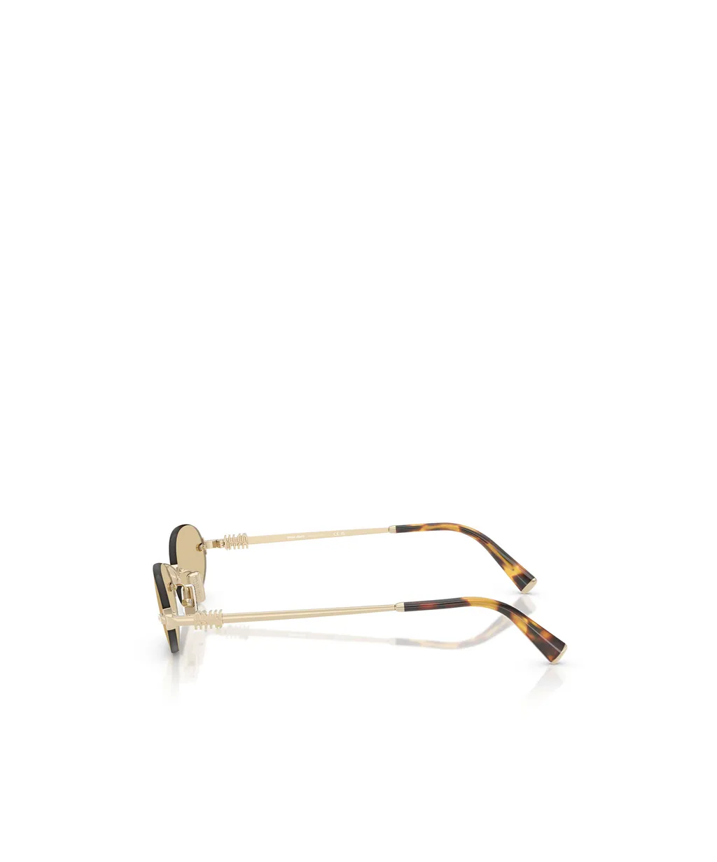 Oval Frame Sunglasses
