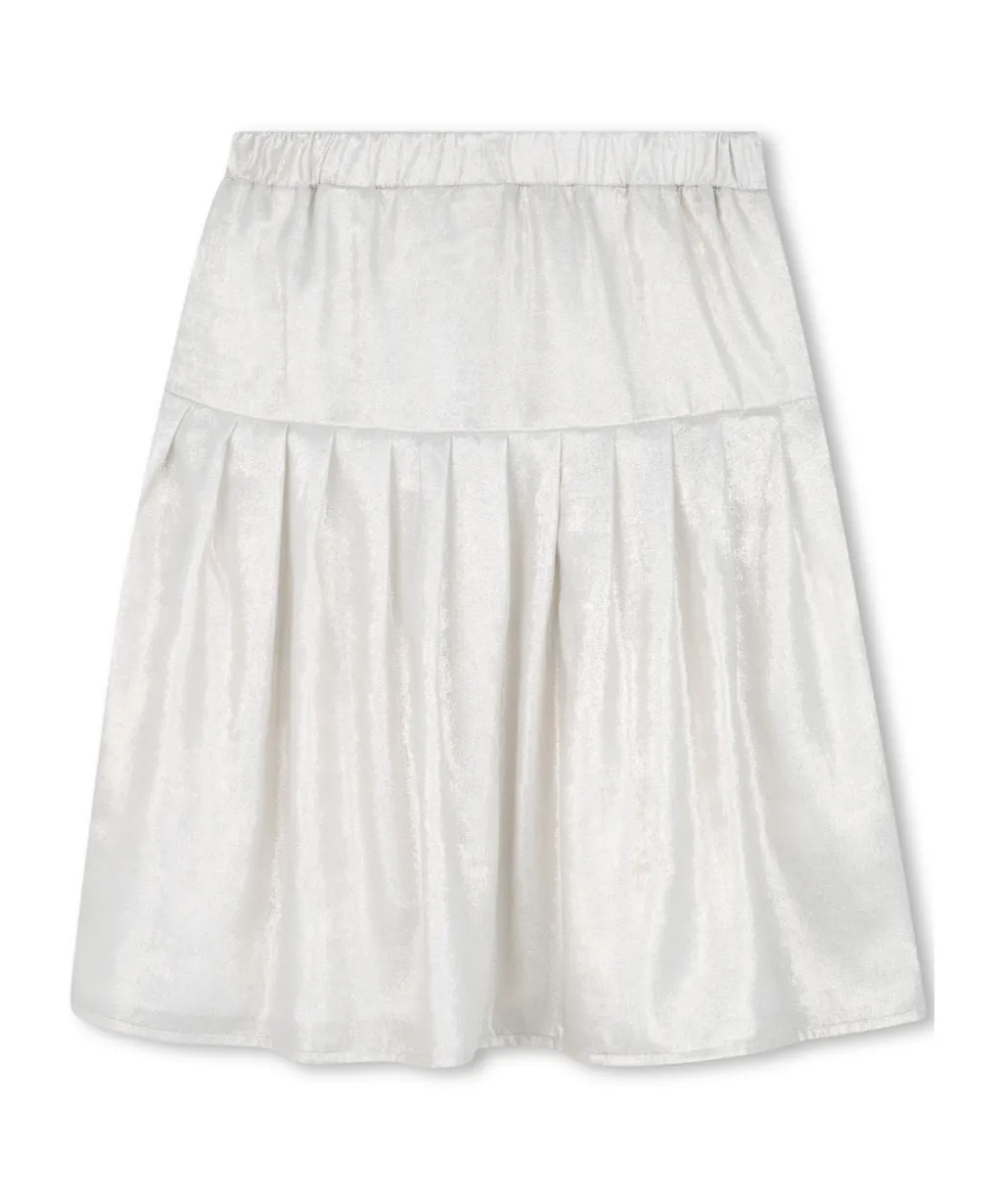 Pleated Skirt