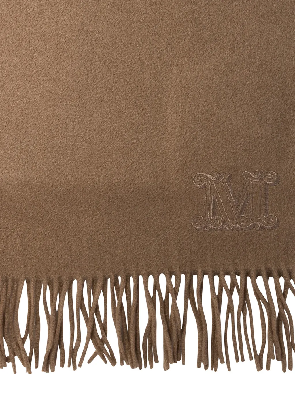 Wsdalia Fringed Scarf