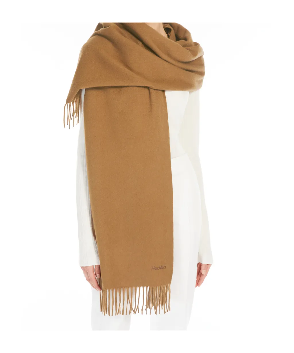 Cashmere Stole With Embroidery And Fringing