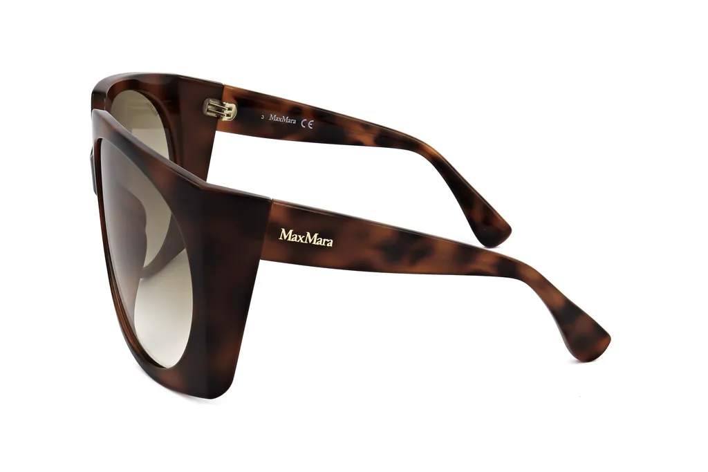 Full Frame Sunglasses