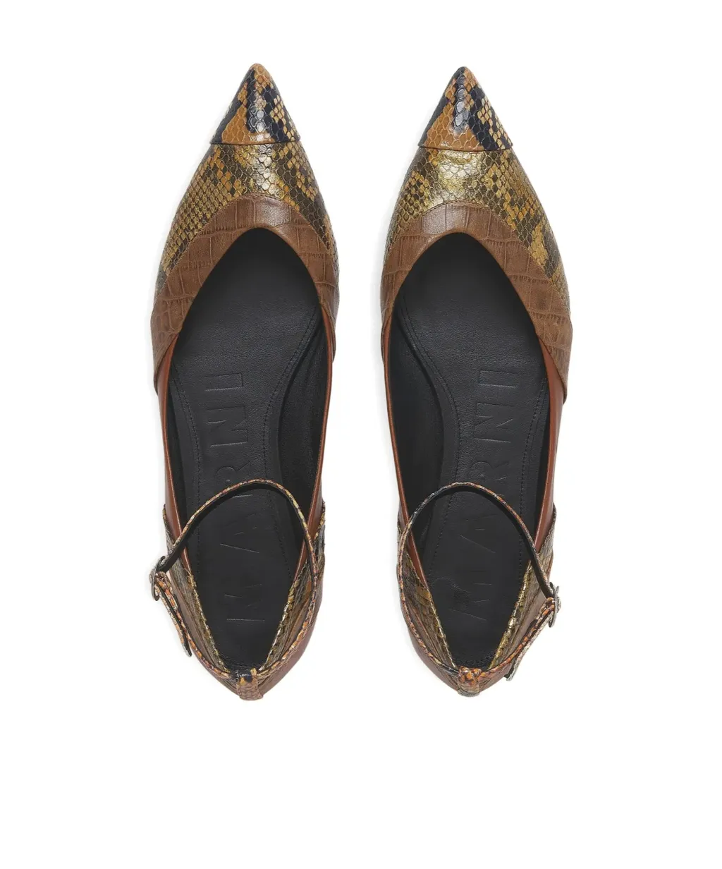 Pointed-Toe Ballerina