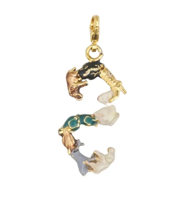 Alphabet Charm S