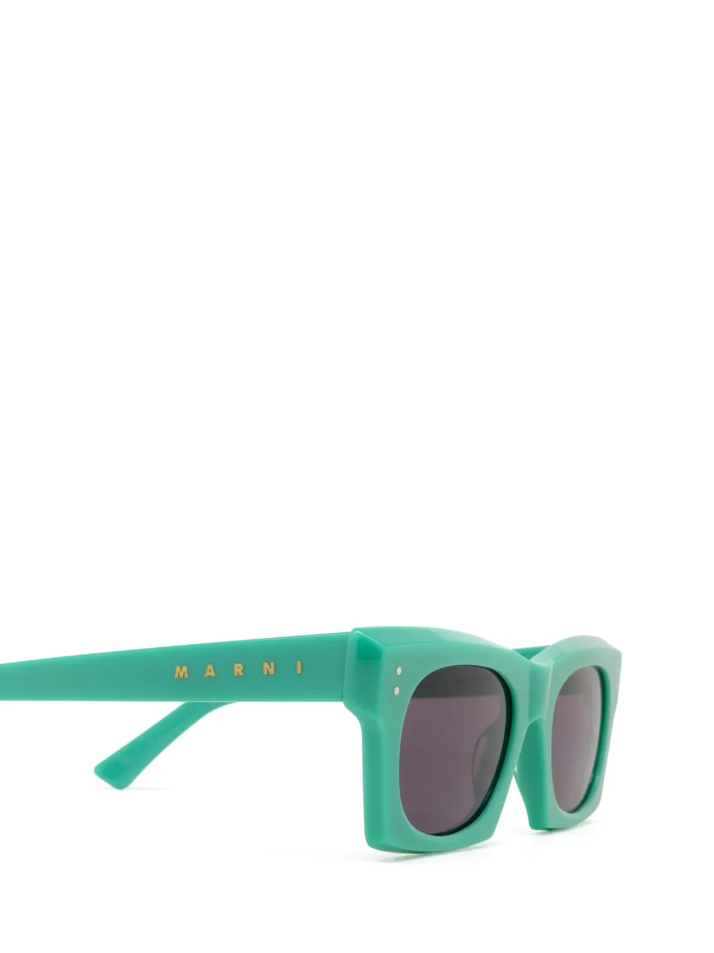 Frame Sunglasses