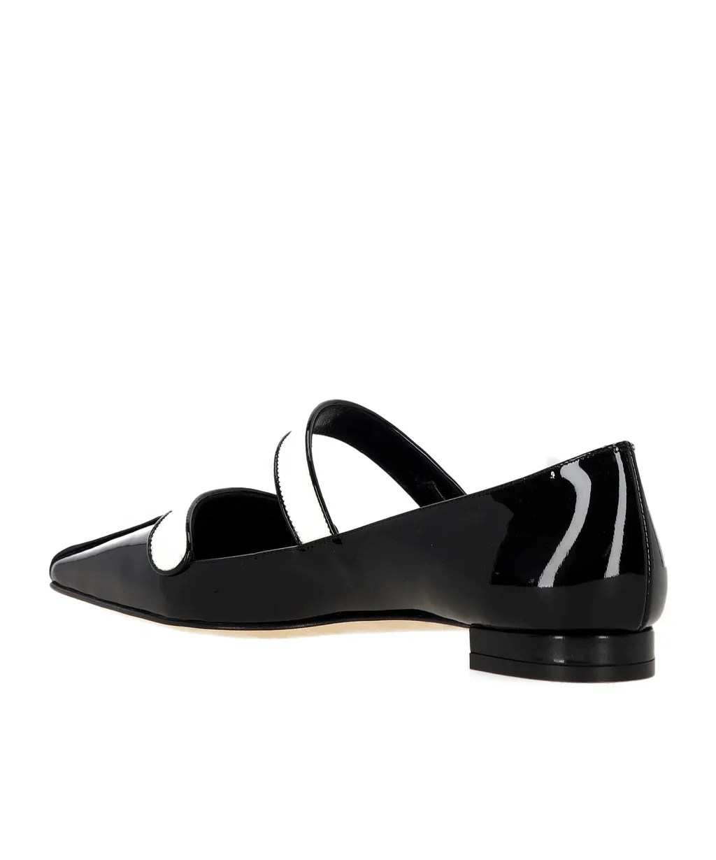 Pointed Toe Flats