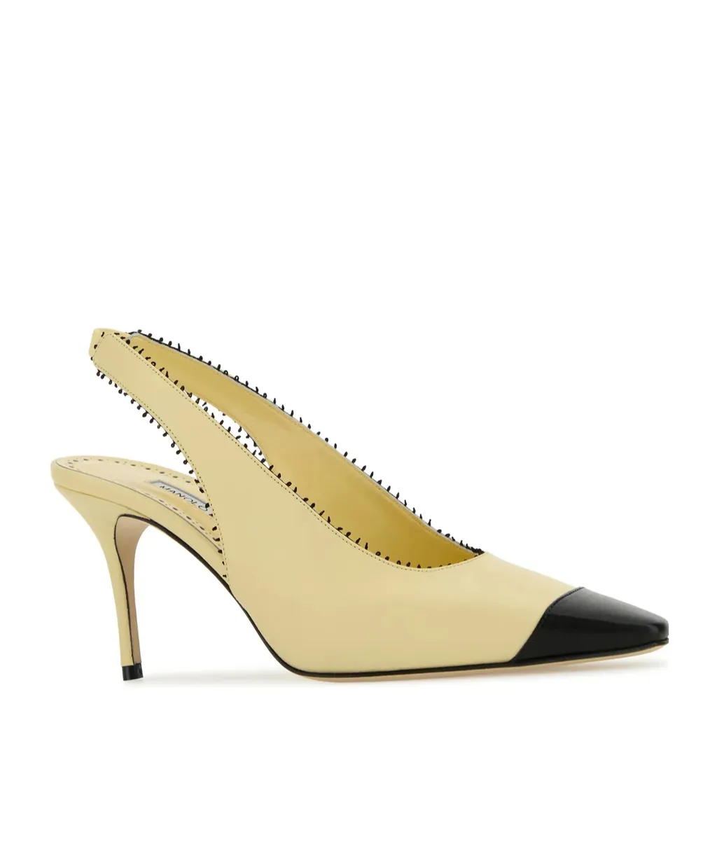 Gaius Slingback Pointed Toe Pumps