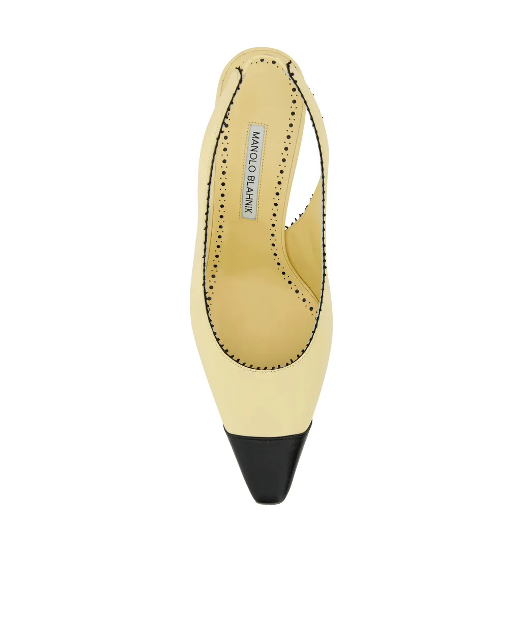 Gaius Slingback Pointed Toe Pumps