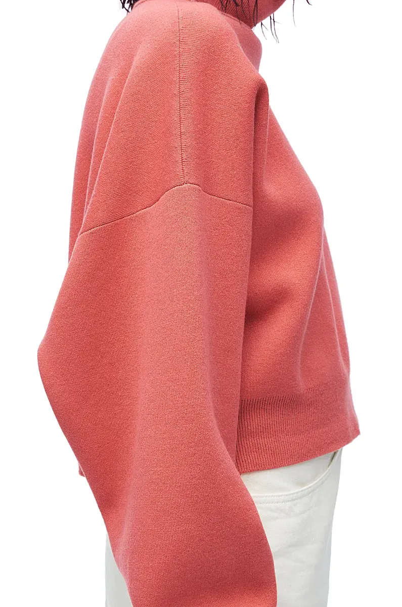 High Neck Sweater In Cashmere