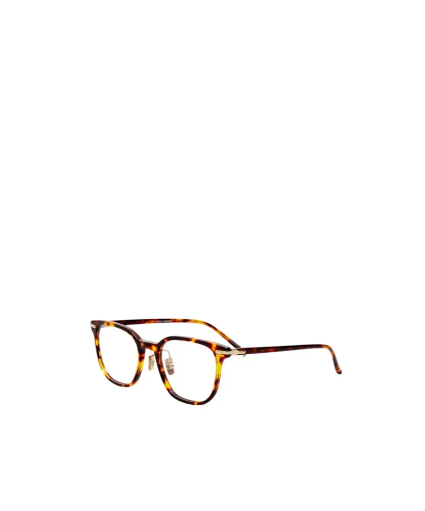 Hopkin Optical