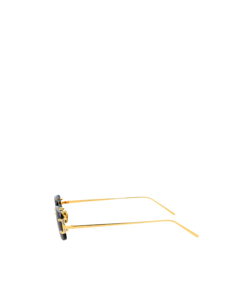 Rectangular Sunglasses