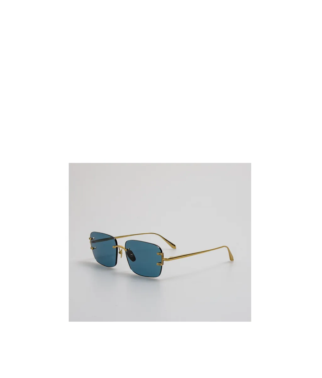 Adjustable Sunglasses