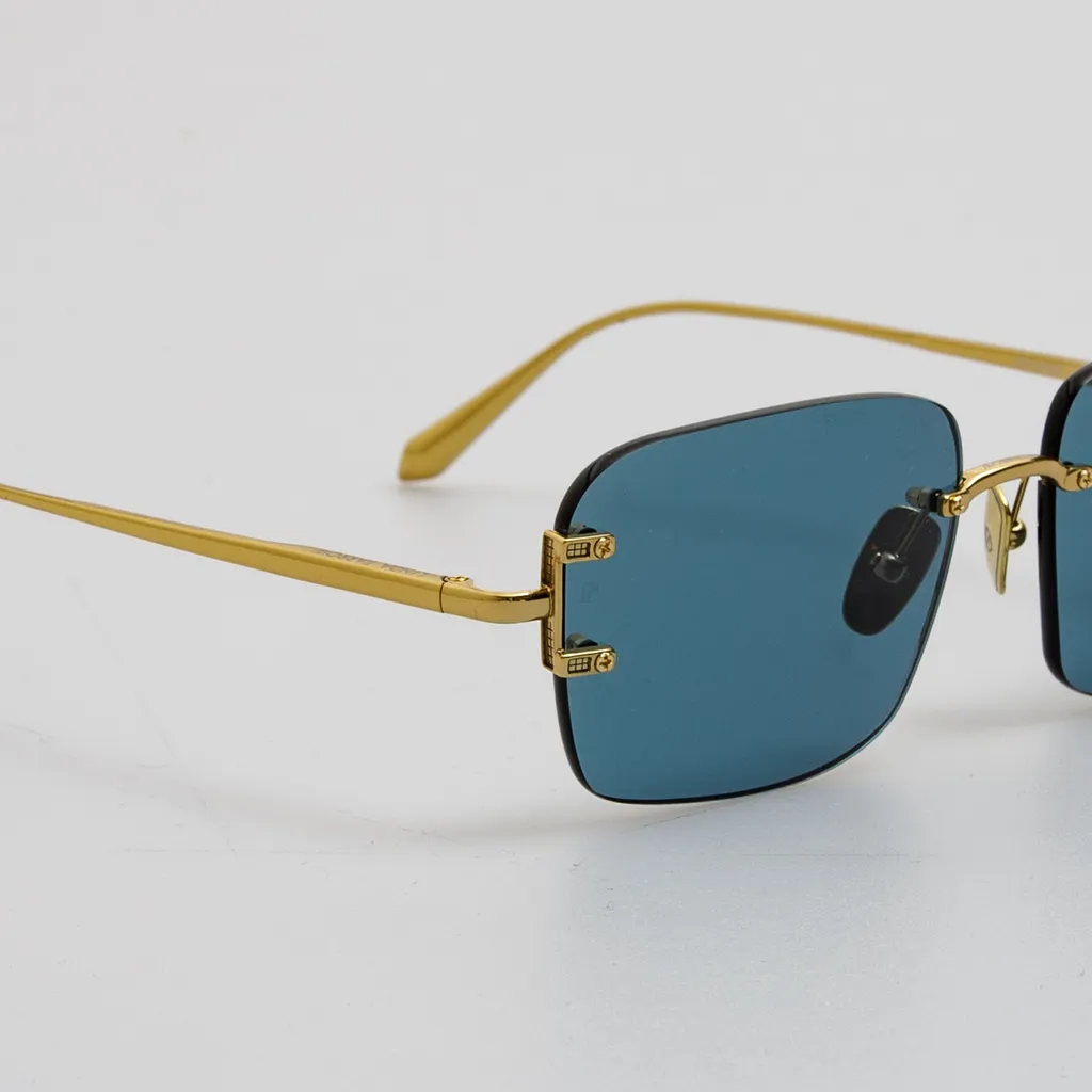 Adjustable Sunglasses