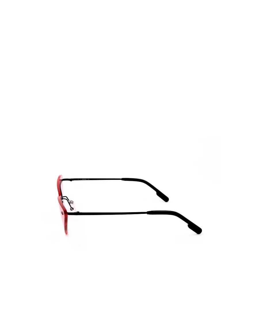 Triangular Logo Sunglasses