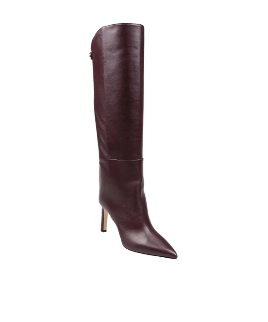 Alizze 85 Pointed-Toe Boots
