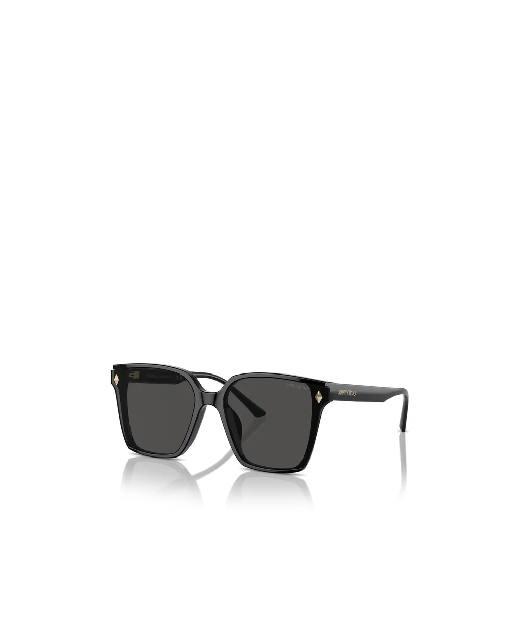 Full Frame Sunglasses