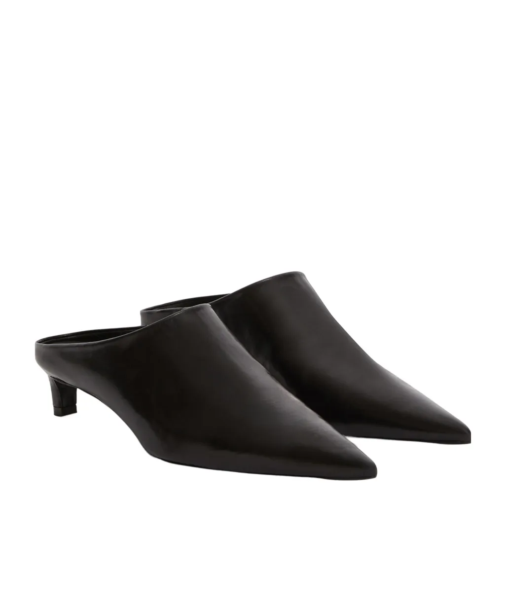 Pointed Toe Mules