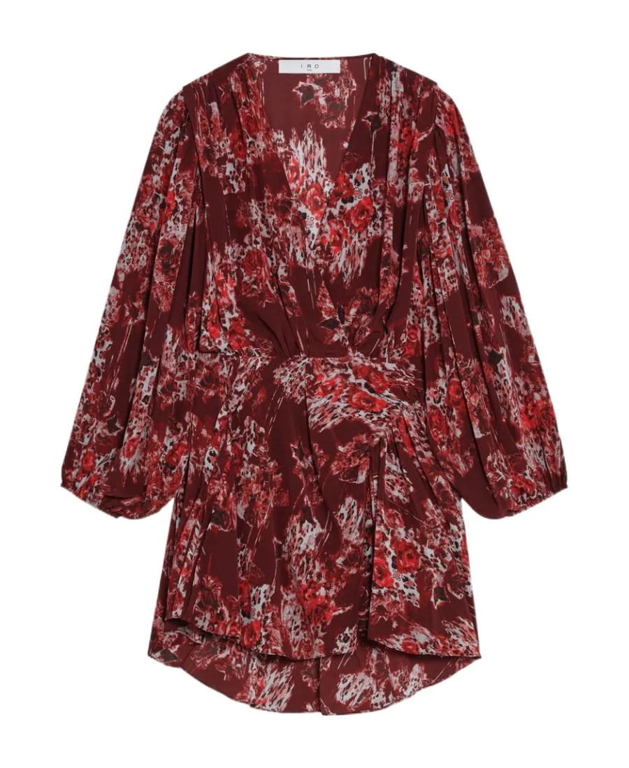 Azula Printed V-Neck Dress