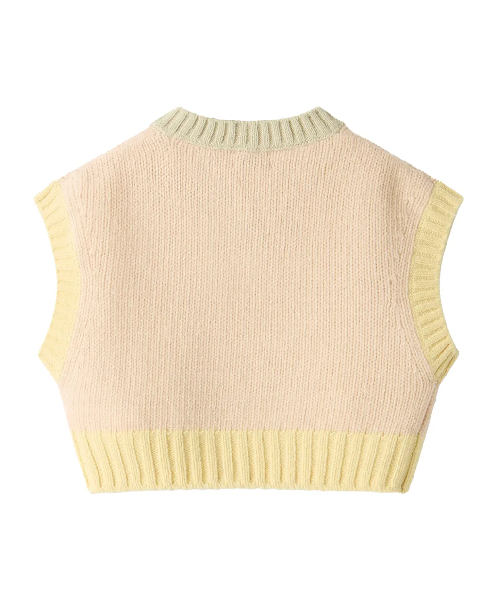V-Neck Ribbed Top