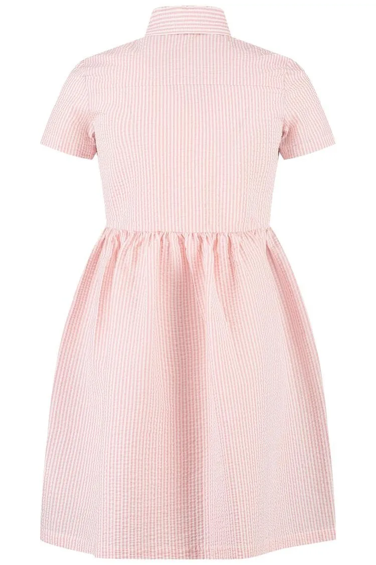 Short Sleeved Striped Mini Dress