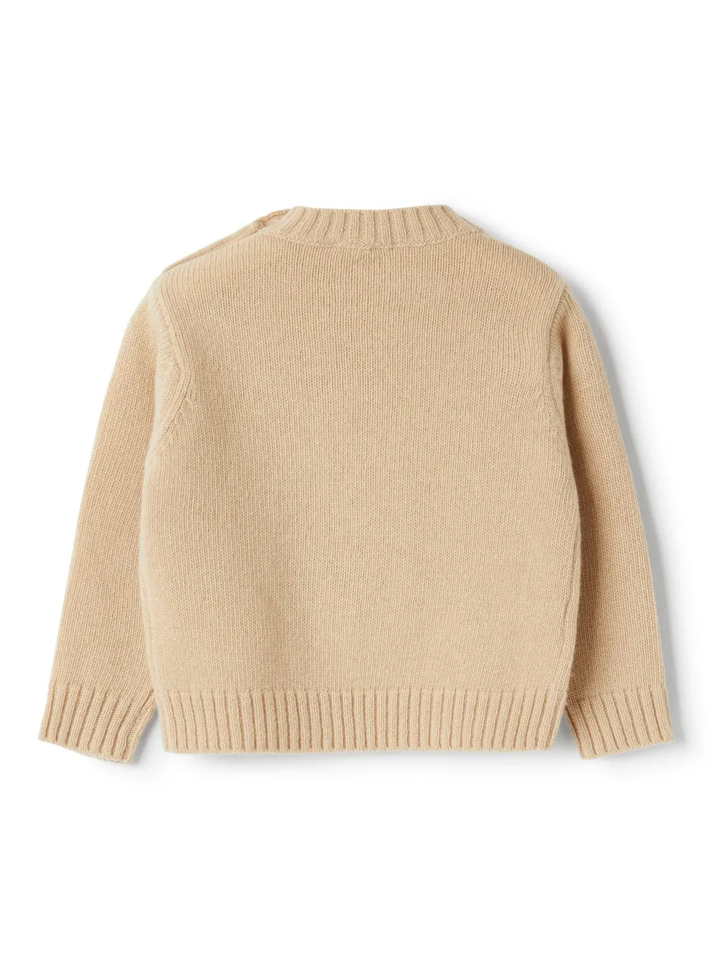 Lion Embroidered Jumper