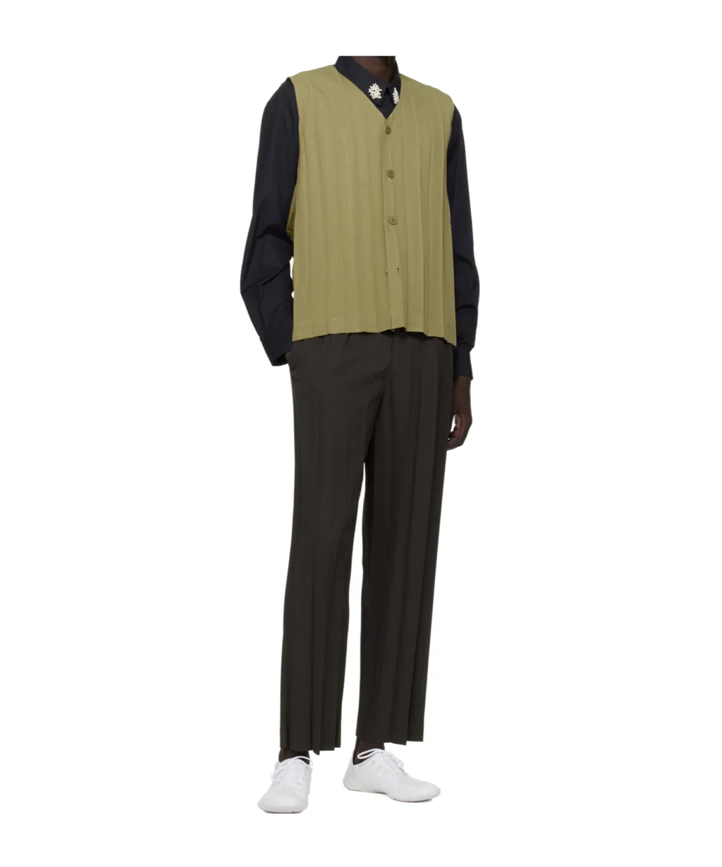Pleated Trousers