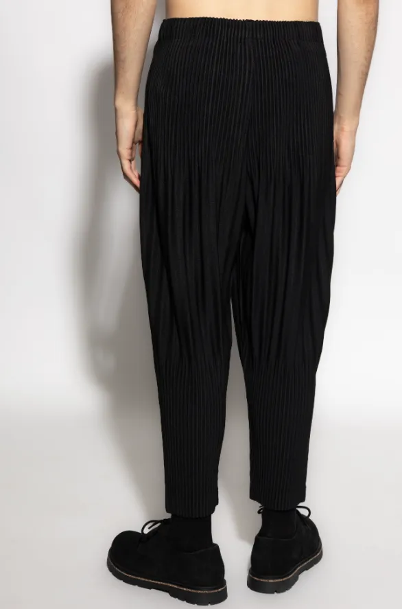 Pleated Trousers