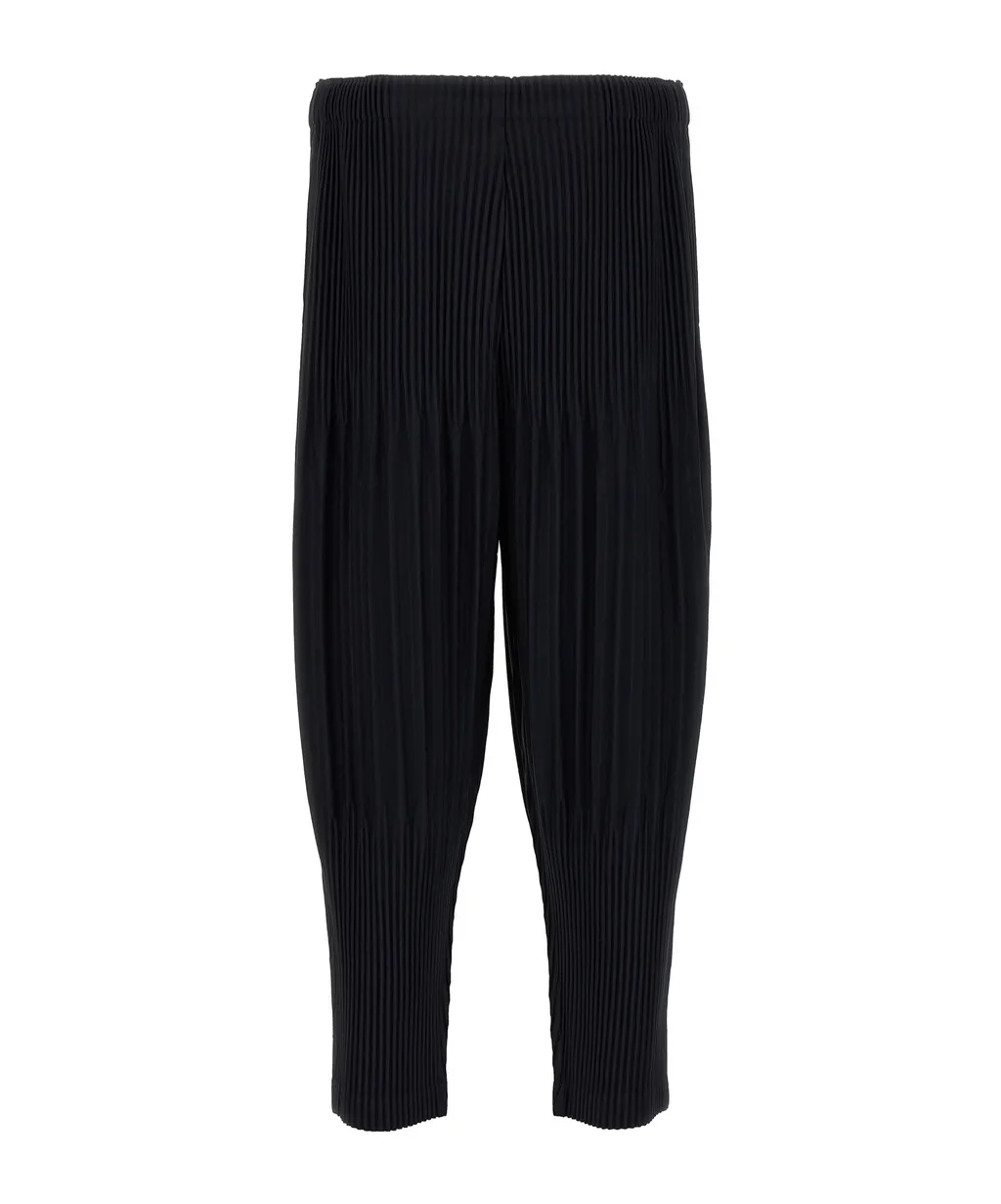 Pleated Pants