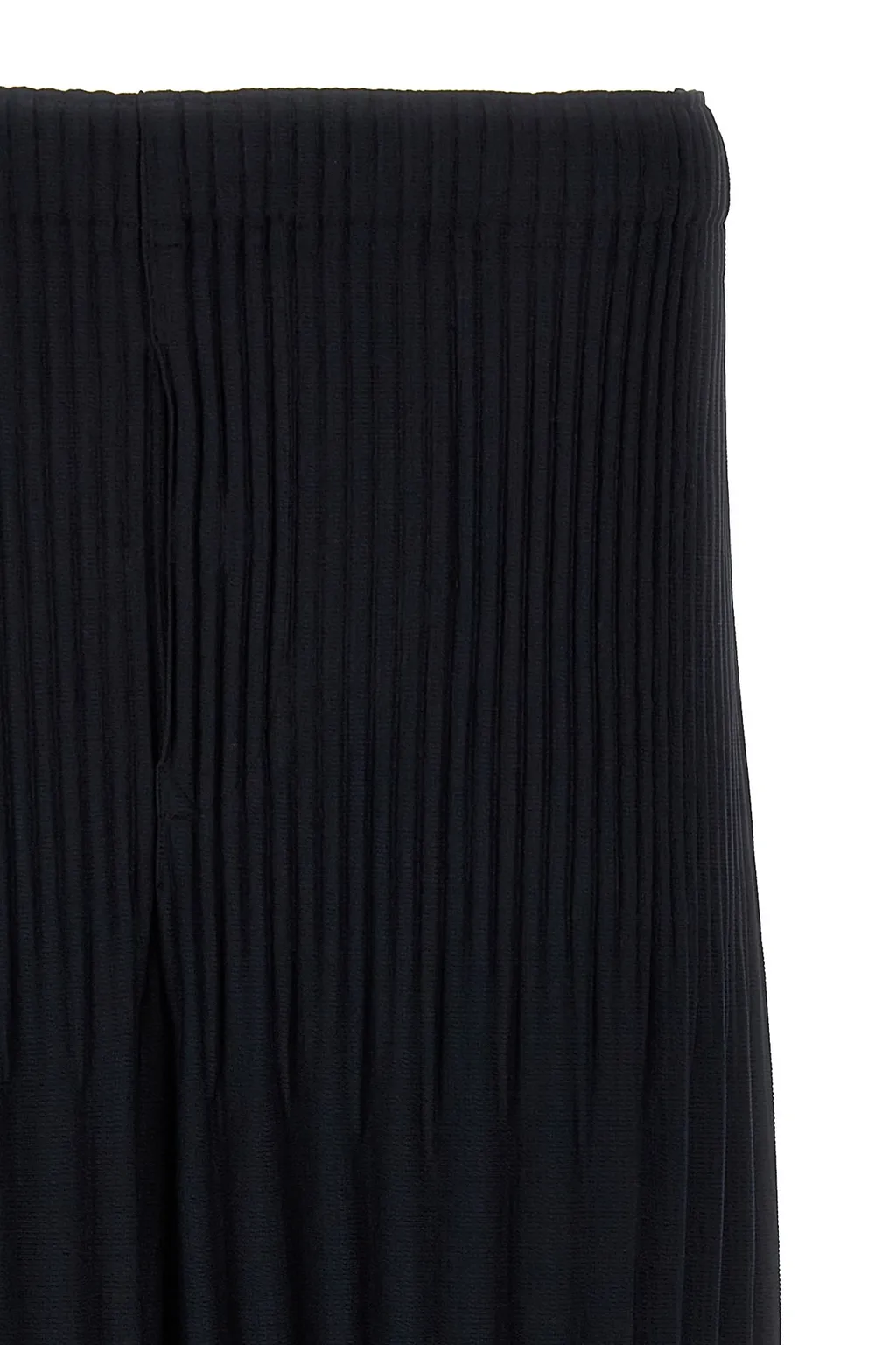 Pleated Pants