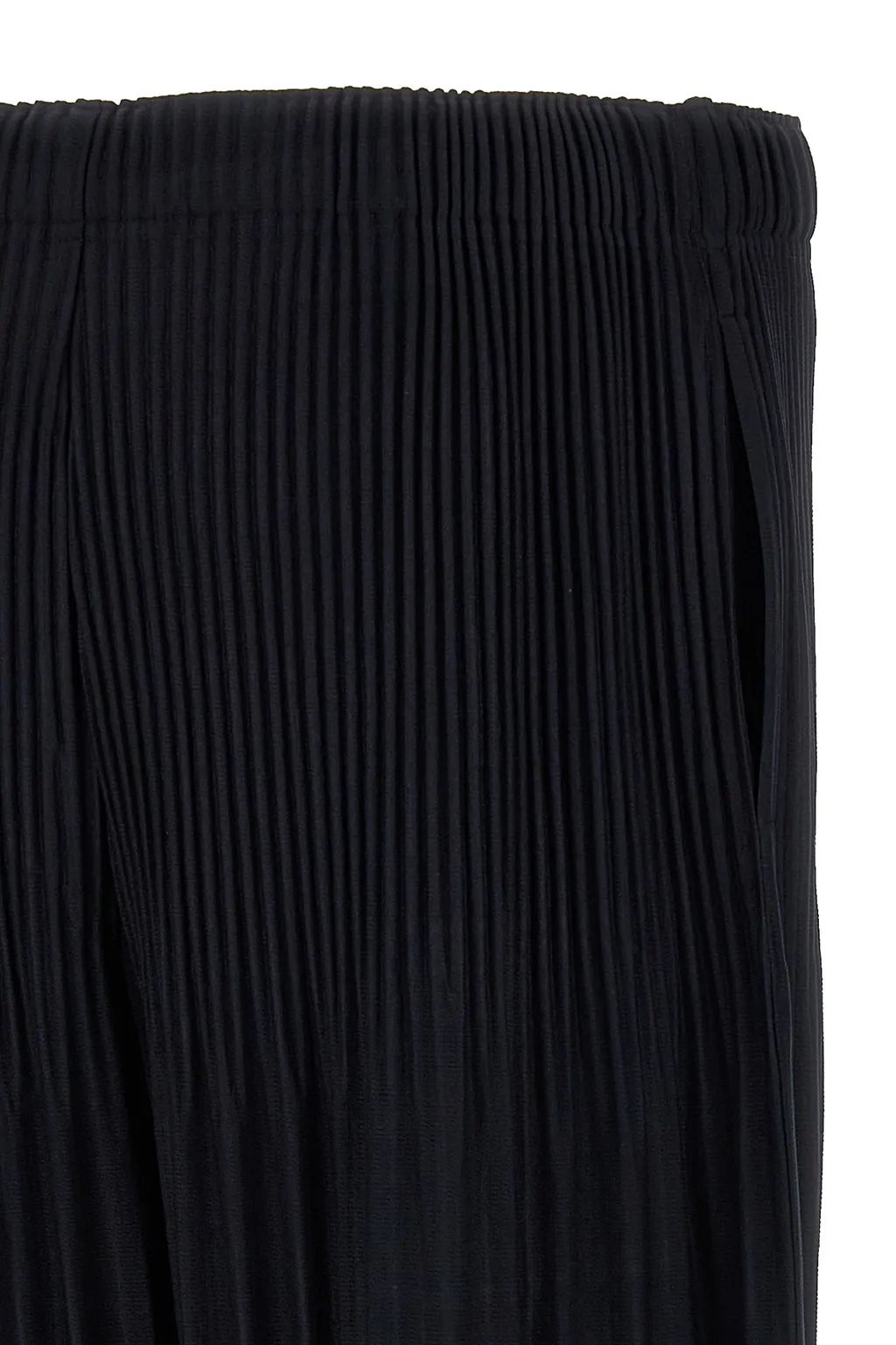 Pleated Pants