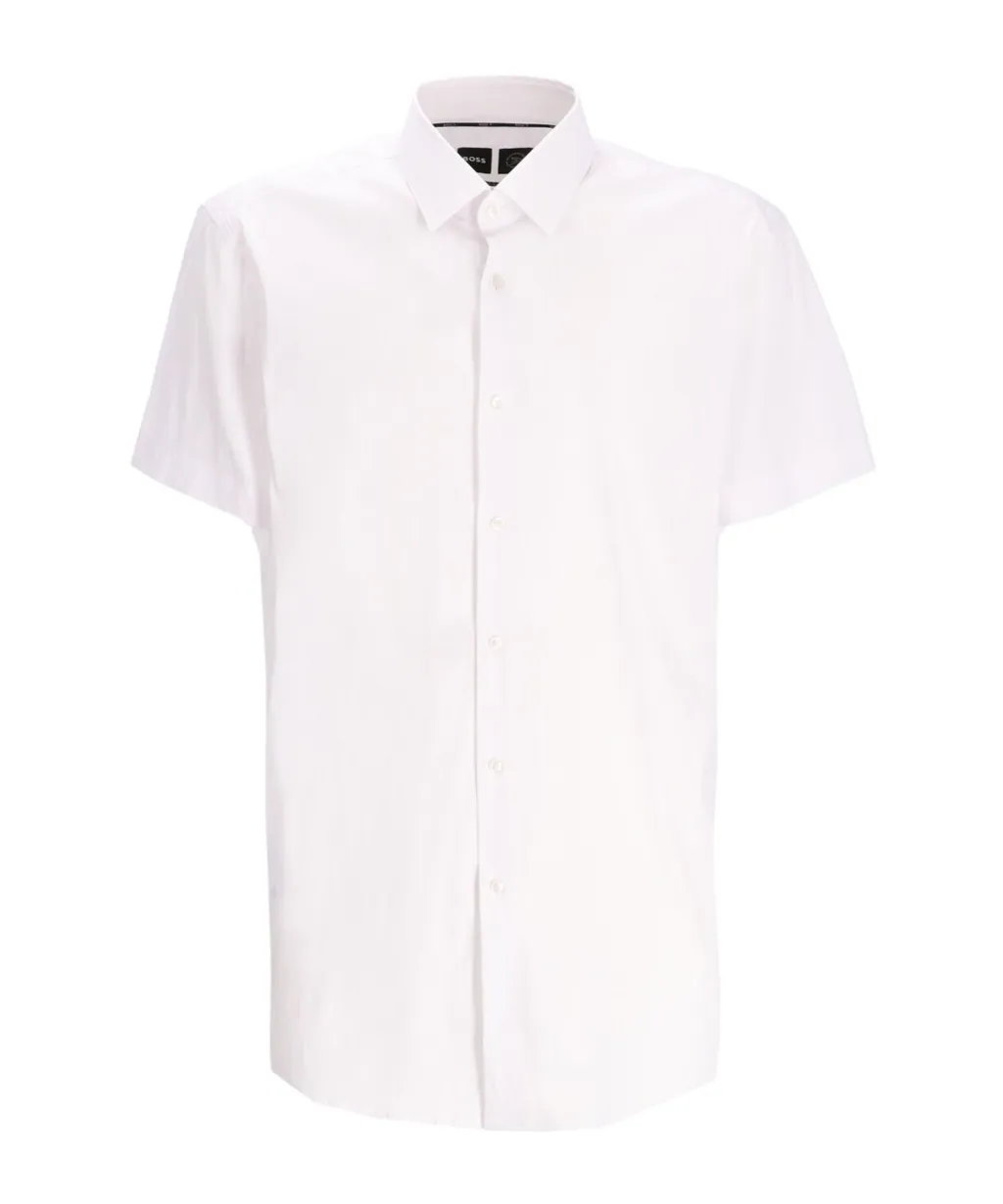 Ray S Kent Sh C1 Shirt